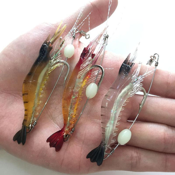 Fishing & Camping