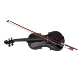 Black Acoustic Violin