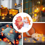 LED Halloween Light String Battery Powered Maple Pumpkin Fairy Garland Garden Bedroom Living Room Festive Party Decoration Light
